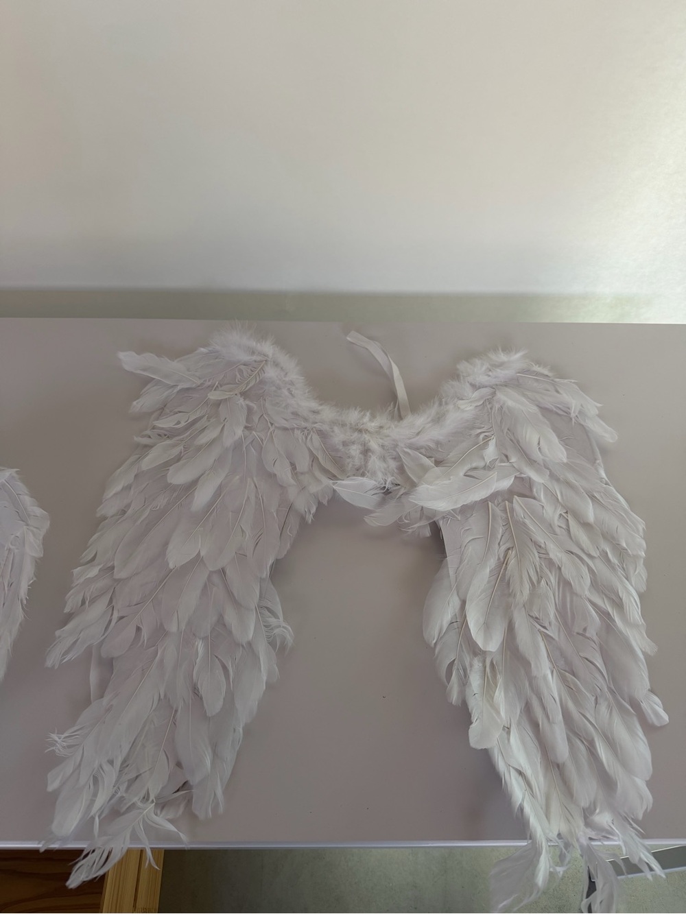 2 White Feather Angel Wings